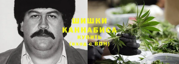 прущие крисы Абаза